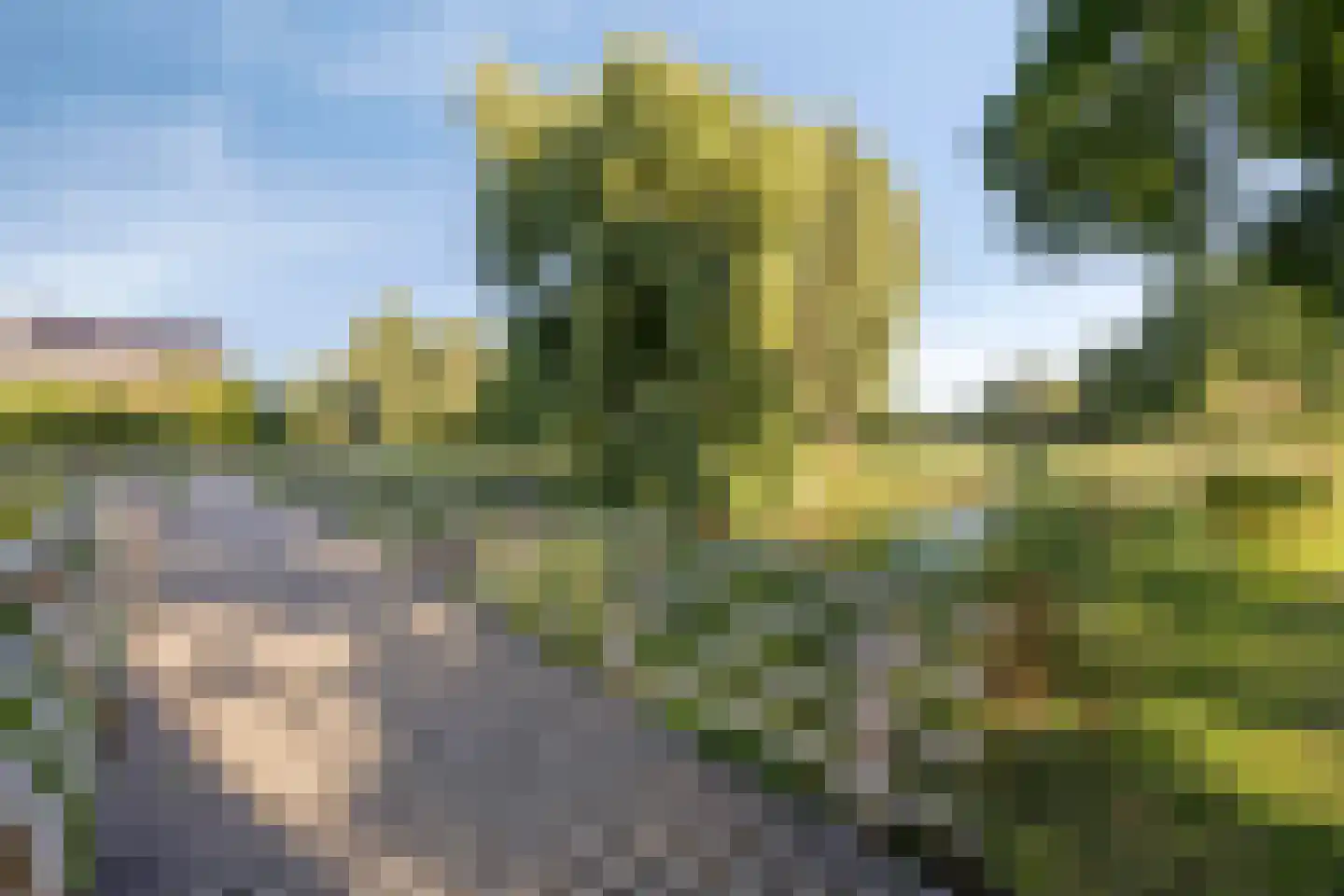 Grootmaat 54 Zevenaar thumbnail 40