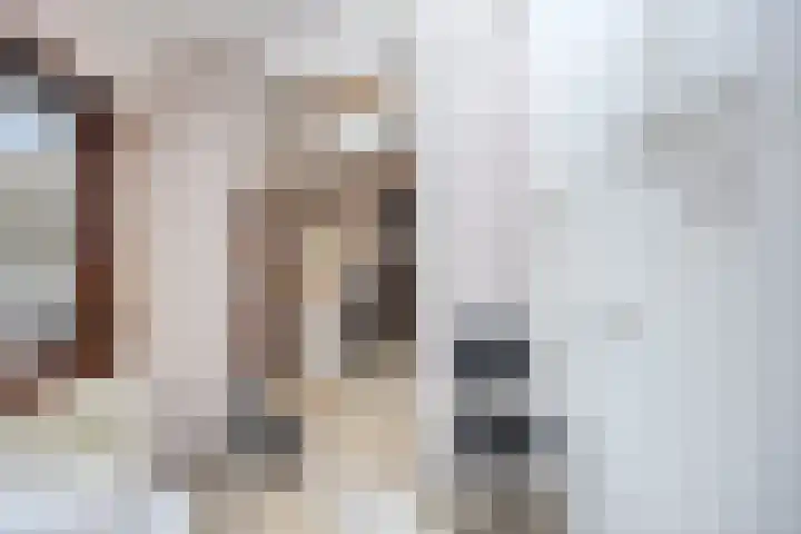 Grootmajoorstraat 4 Sas van Gent thumbnail 12