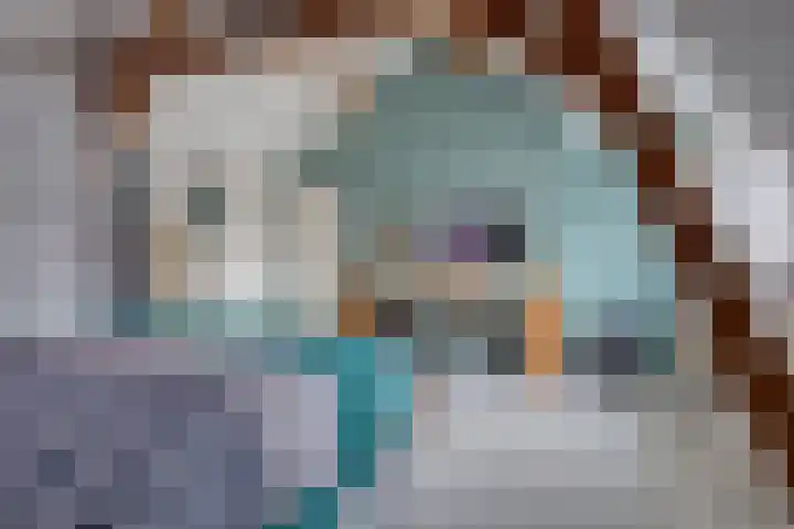 Grootmajoorstraat 4 Sas van Gent thumbnail 15