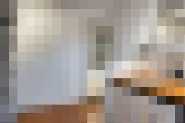 Grootmajoorstraat 4 Sas van Gent thumbnail 17