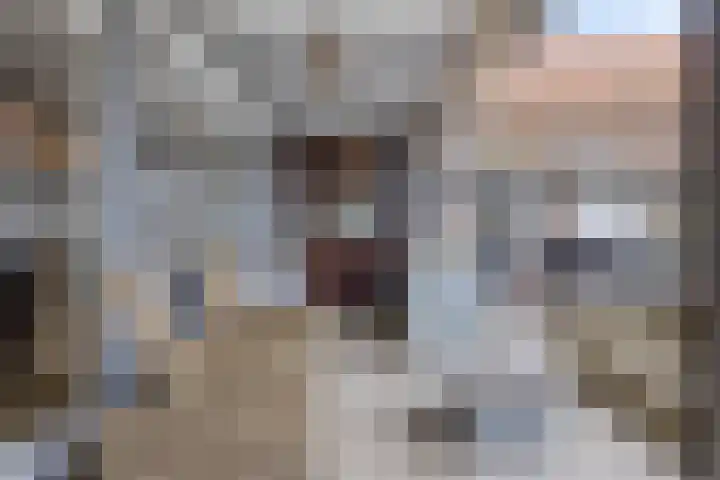 Grootmajoorstraat 4 Sas van Gent thumbnail 26