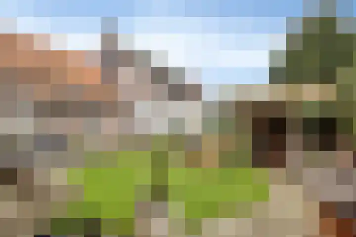 Grootmajoorstraat 4 Sas van Gent thumbnail 30