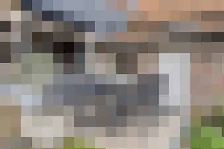 Grootmajoorstraat 4 Sas van Gent thumbnail 32