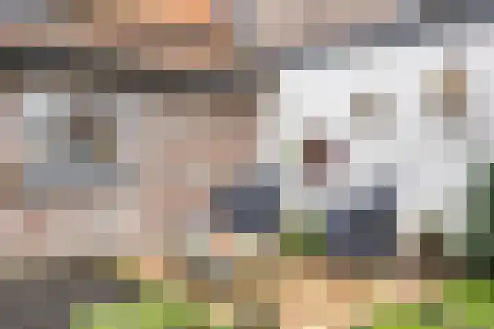 Grootmajoorstraat 4 Sas van Gent thumbnail 33