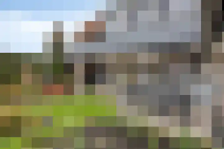 Grootmajoorstraat 4 Sas van Gent thumbnail 34