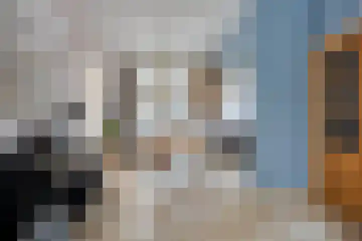 Grootmajoorstraat 4 Sas van Gent thumbnail 4