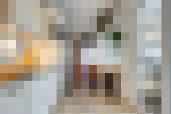 Grootmajoorstraat 4 Sas van Gent thumbnail 9