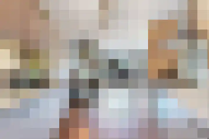 Grootmede 60 Middelburg thumbnail 10