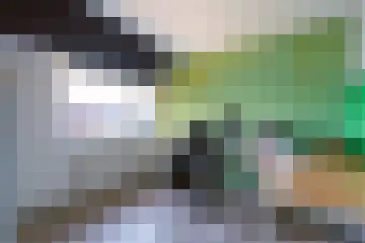 Grootmede 60 Middelburg thumbnail 21