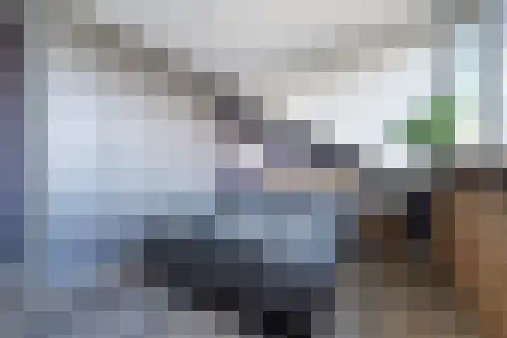 Grootmede 60 Middelburg thumbnail 24