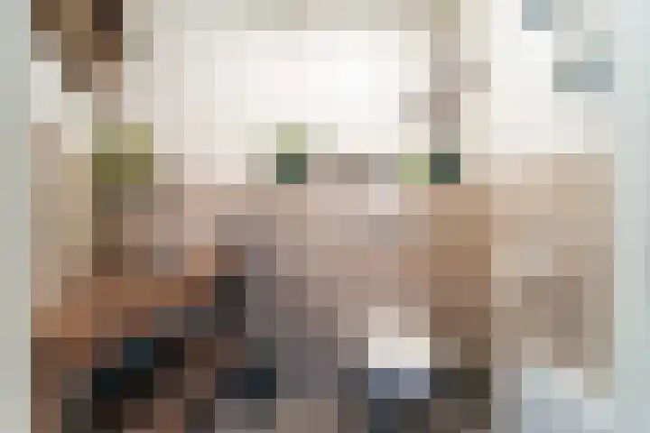 Grootmede 60 Middelburg thumbnail 5