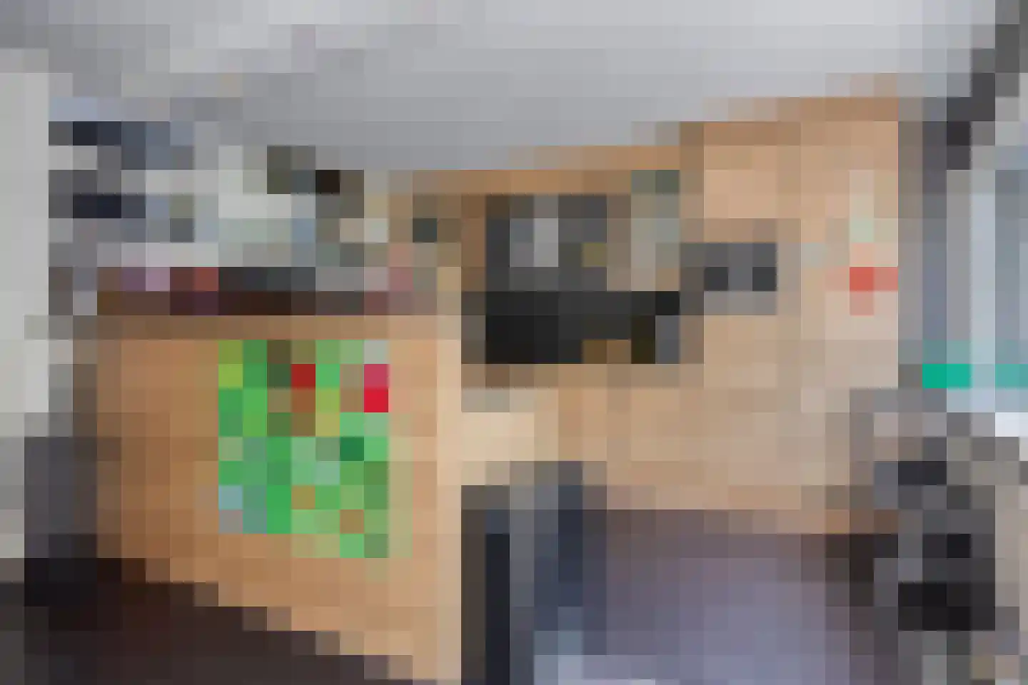 Grootmede 69 Middelburg thumbnail 11