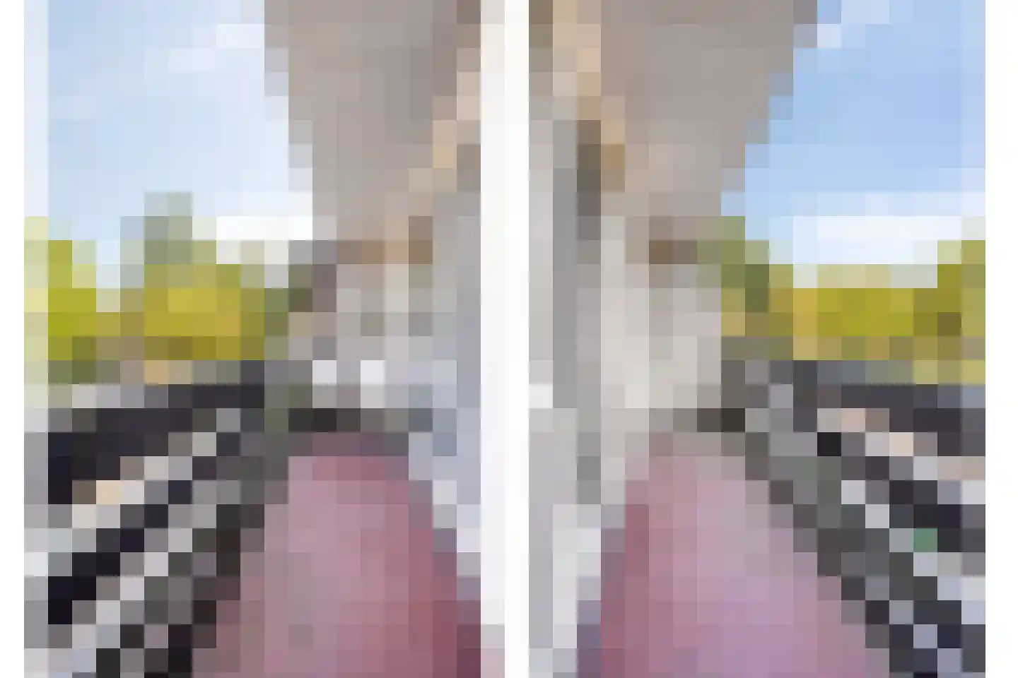 Grootmede 69 Middelburg thumbnail 18
