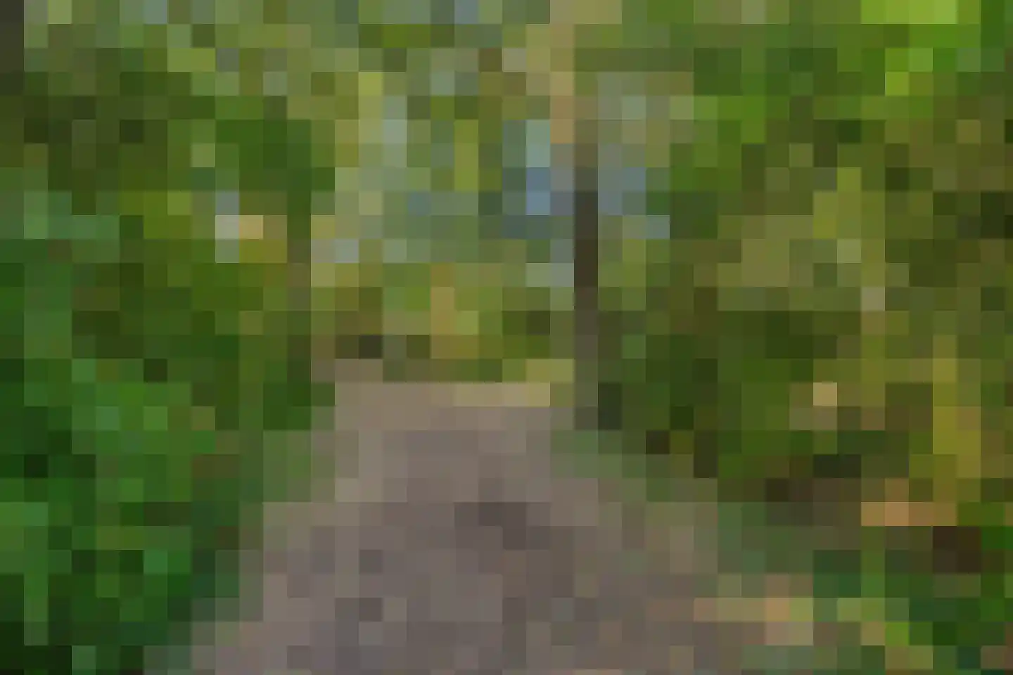 Grootmede 69 Middelburg thumbnail 31