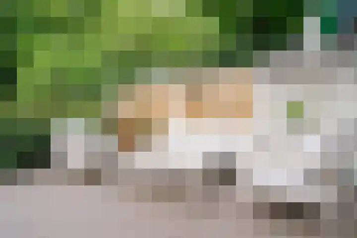 Grootmede 79 Middelburg thumbnail 27