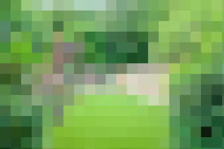 Grootmede 79 Middelburg thumbnail 28