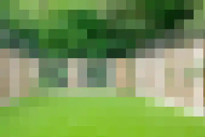 Grootmede 79 Middelburg thumbnail 29