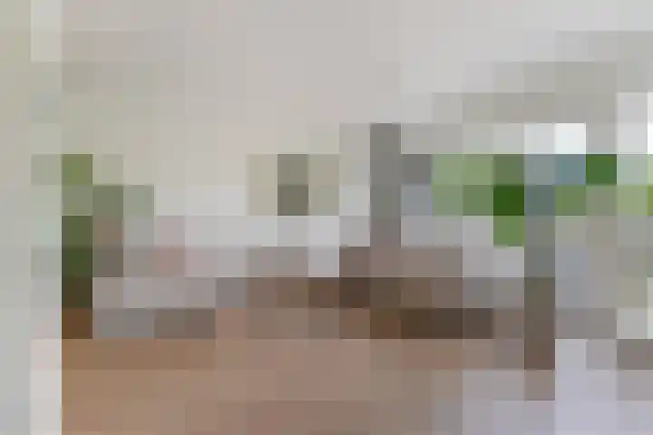Grootmede 79 Middelburg thumbnail 4
