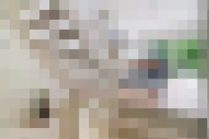 Grootmede 79 Middelburg thumbnail 8