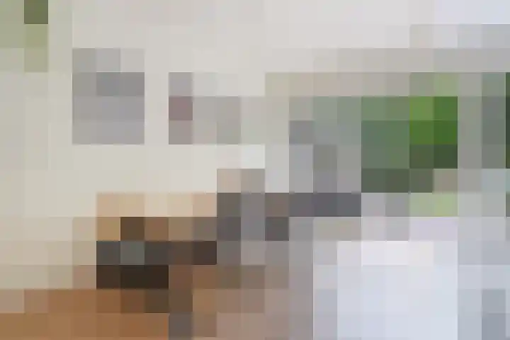 Grootmede 79 Middelburg thumbnail 9