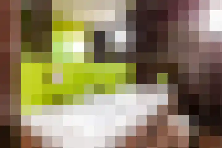 Grootmeesterplein 26 Utrecht thumbnail 26