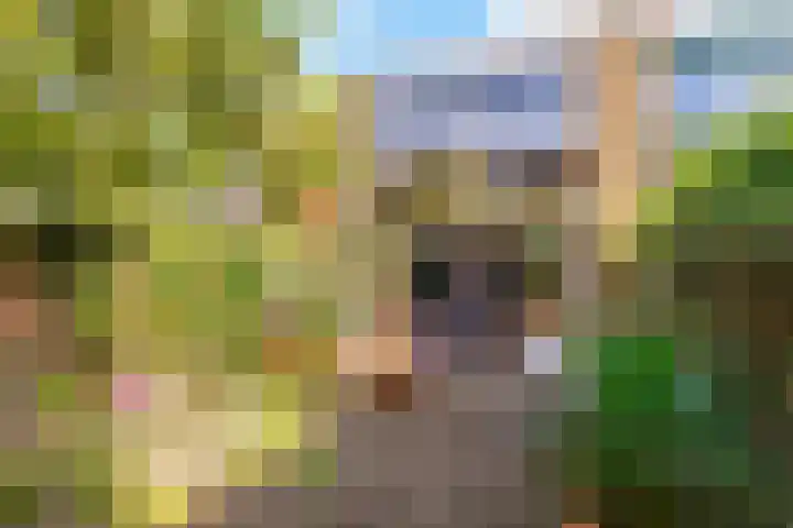 Grootmeesterplein 26 Utrecht thumbnail 32