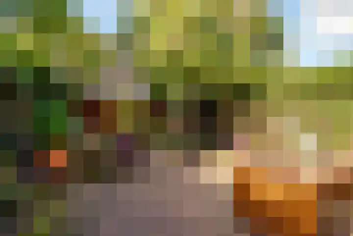 Grootmeesterplein 26 Utrecht thumbnail 36