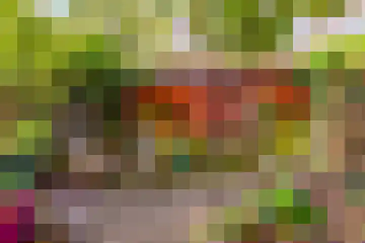 Grootmeesterplein 26 Utrecht thumbnail 37
