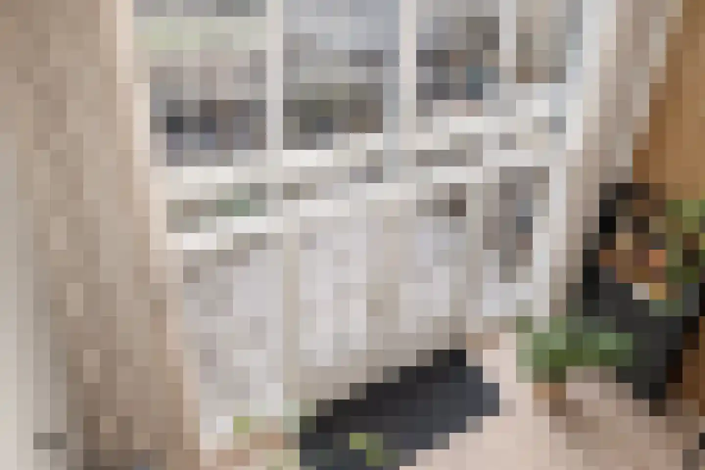 Grootmeesterplein 50 Utrecht thumbnail 8