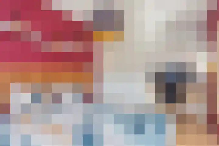 Grootmeesterplein 7 Utrecht thumbnail 12