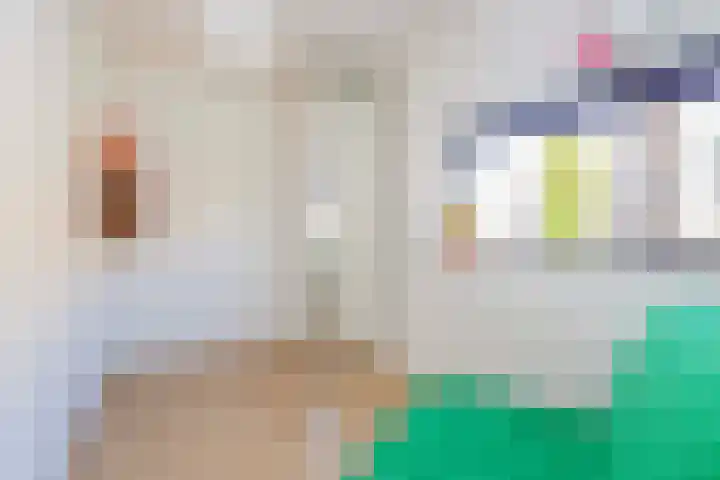 Grootmeesterplein 7 Utrecht thumbnail 15