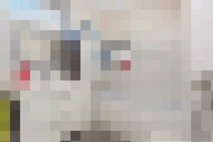 Grootmeesterplein 7 Utrecht thumbnail 17