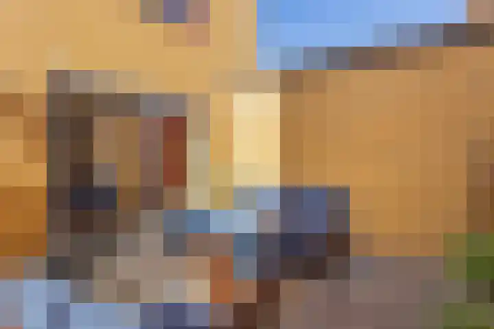 Grootmeesterplein 7 Utrecht thumbnail 25