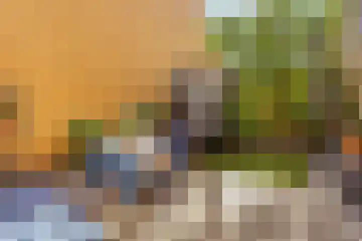 Grootmeesterplein 7 Utrecht thumbnail 26