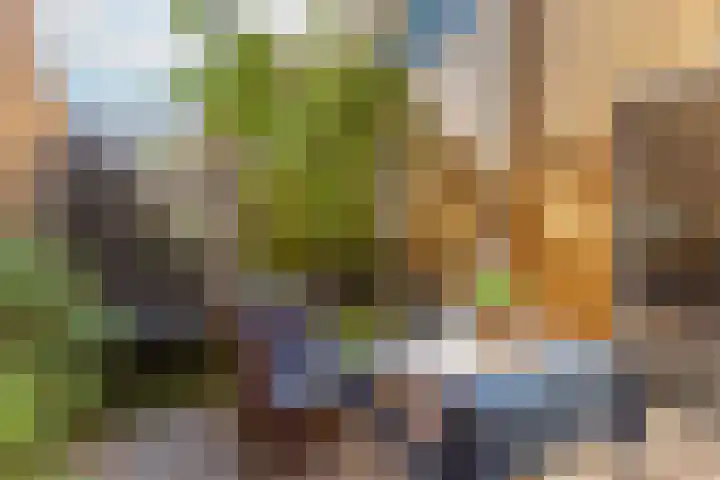 Grootmeesterplein 7 Utrecht thumbnail 27