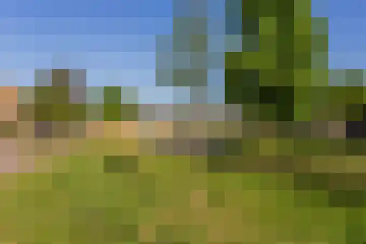 Grootmeesterplein 7 Utrecht thumbnail 29