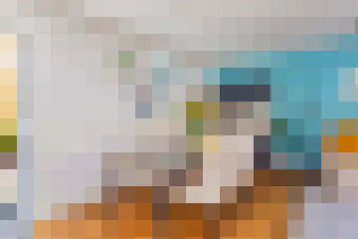Grootmeesterplein 7 Utrecht thumbnail 5