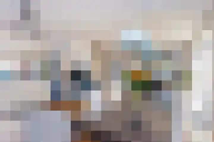 Grootmeesterplein 7 Utrecht thumbnail 6
