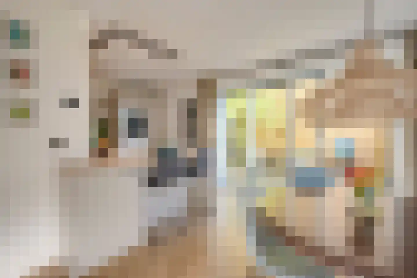 Grootmeesterplein 9 Utrecht thumbnail 16