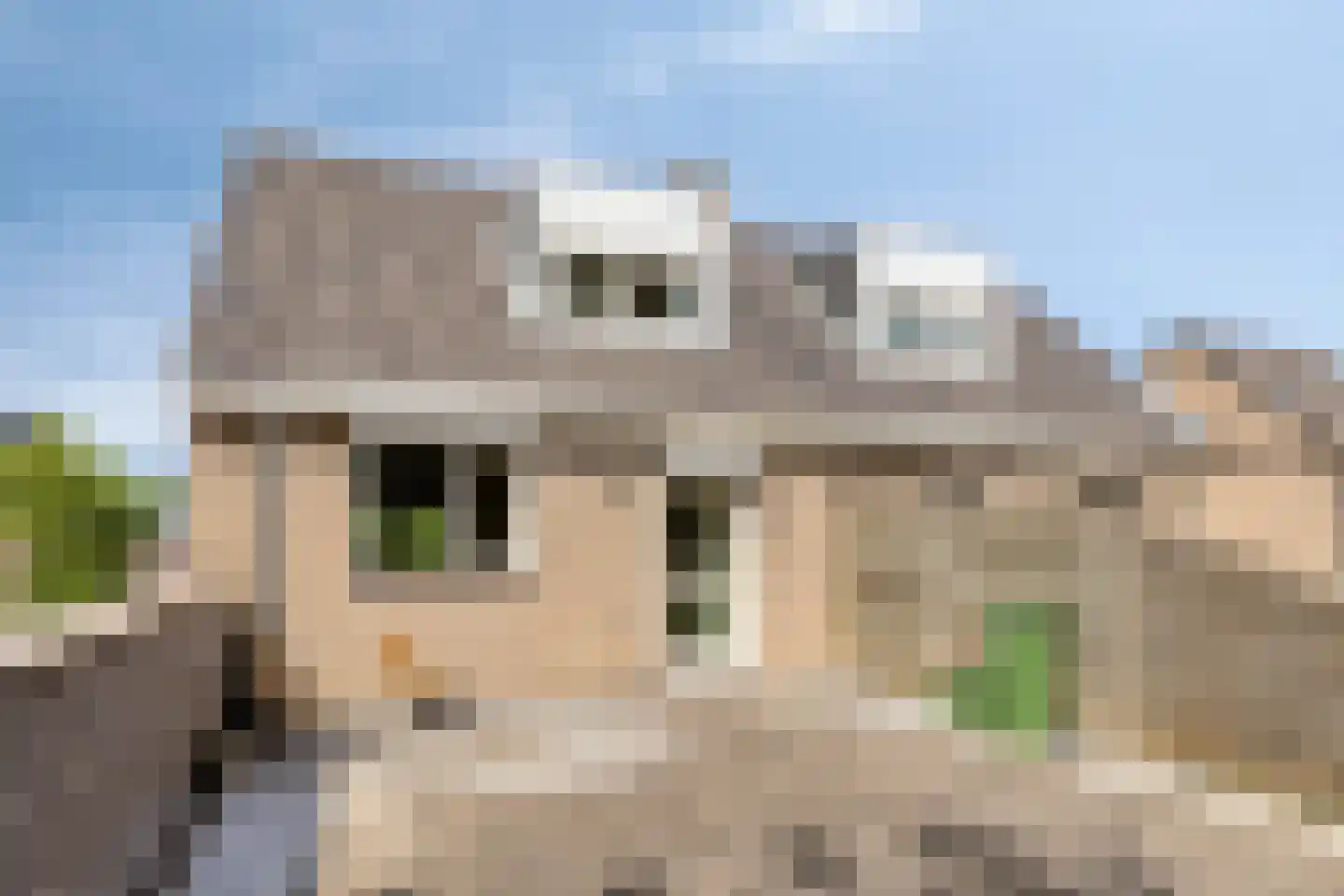 Grootmeestersstraat 7 b Gemert thumbnail 30