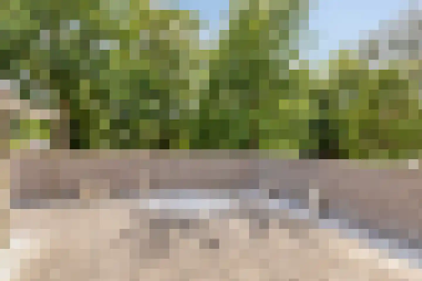 Grootmeestersstraat 7 b Gemert thumbnail 5