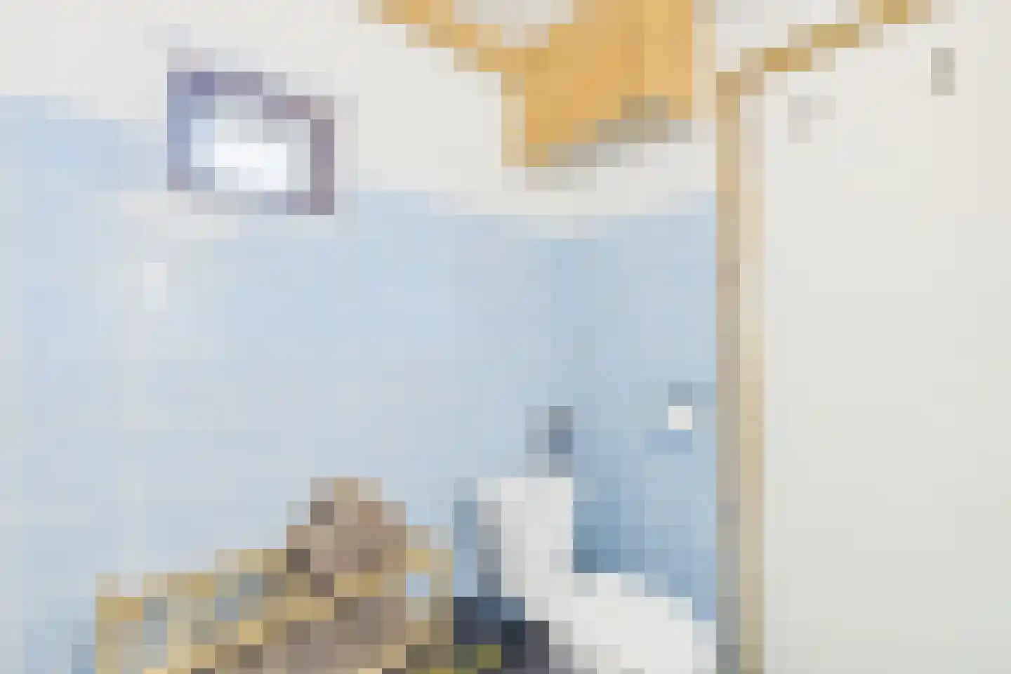 Grootmoedersdijk 1 Kuitaart thumbnail 13