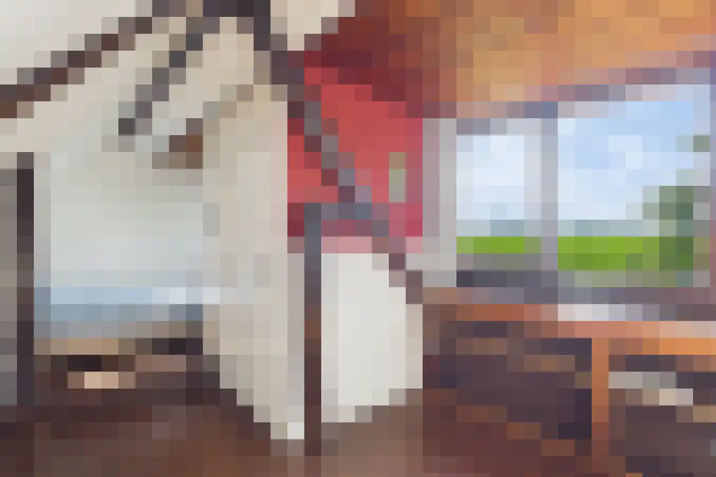 Grootmoedersdijk 1 Kuitaart thumbnail 17