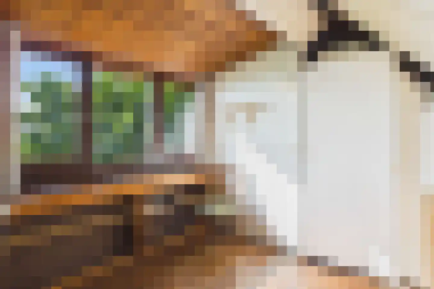 Grootmoedersdijk 1 Kuitaart thumbnail 18