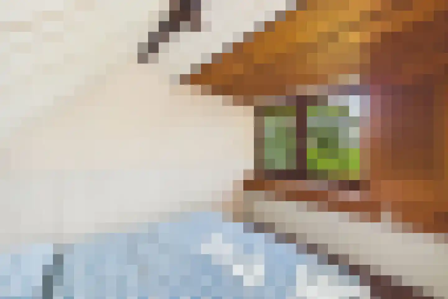 Grootmoedersdijk 1 Kuitaart thumbnail 20
