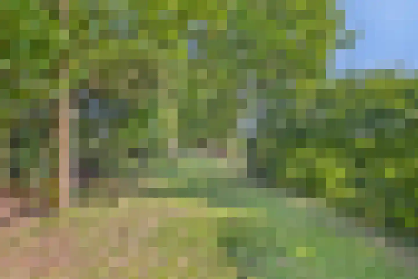 Grootmoedersdijk 1 Kuitaart thumbnail 27
