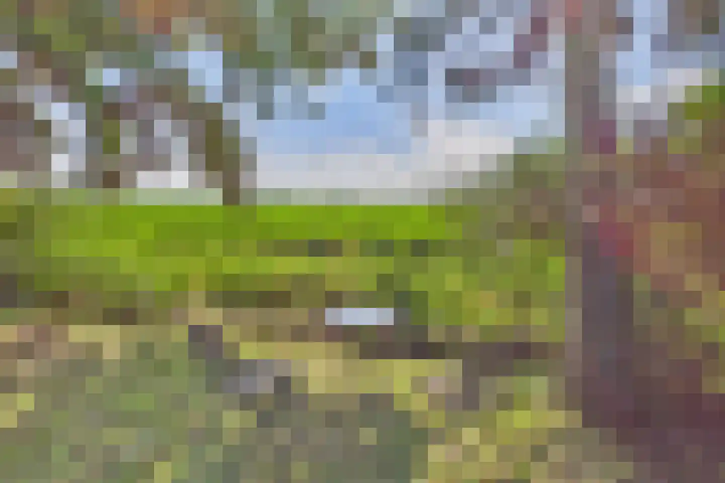 Grootmoedersdijk 1 Kuitaart thumbnail 28