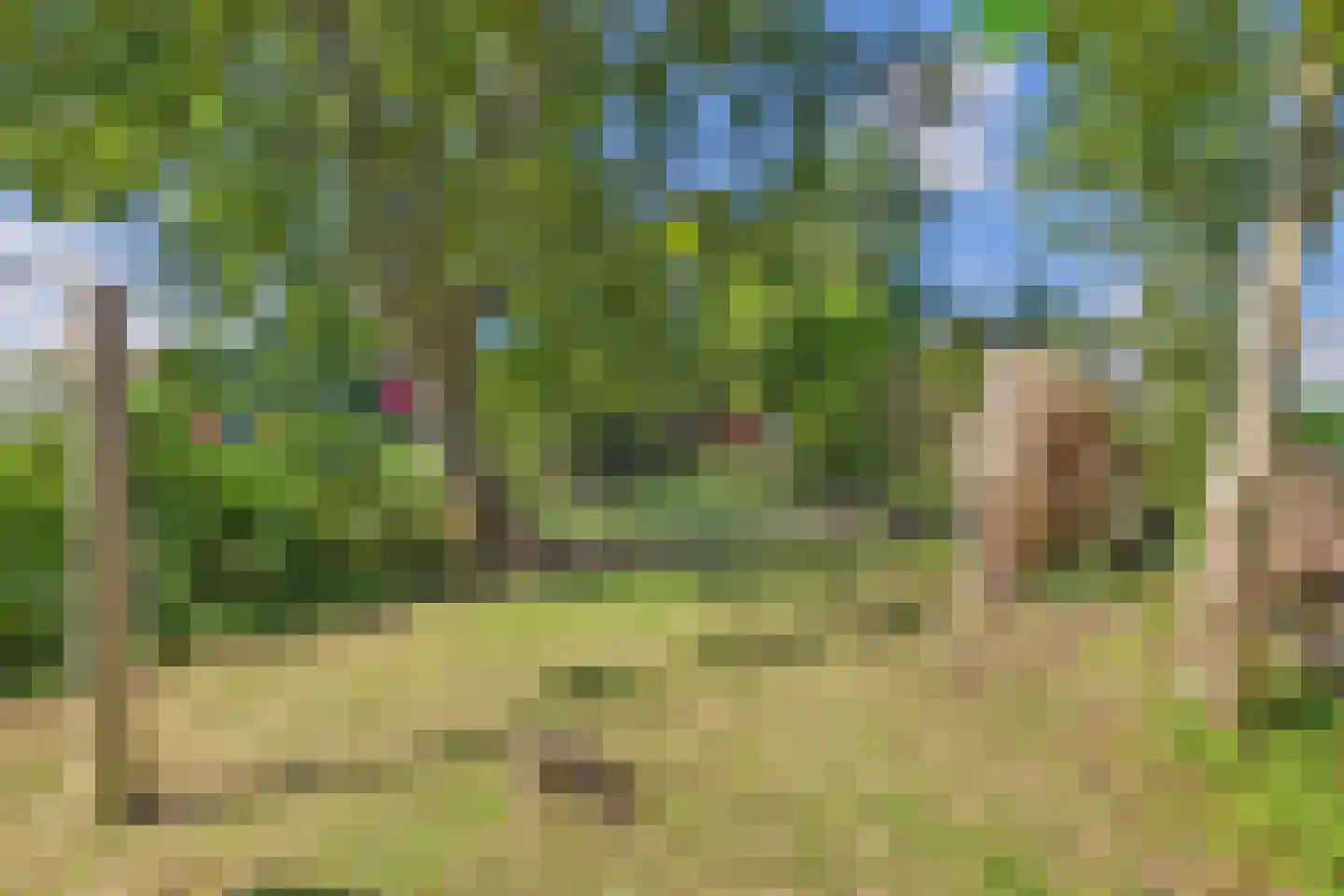Grootmoedersdijk 1 Kuitaart thumbnail 29