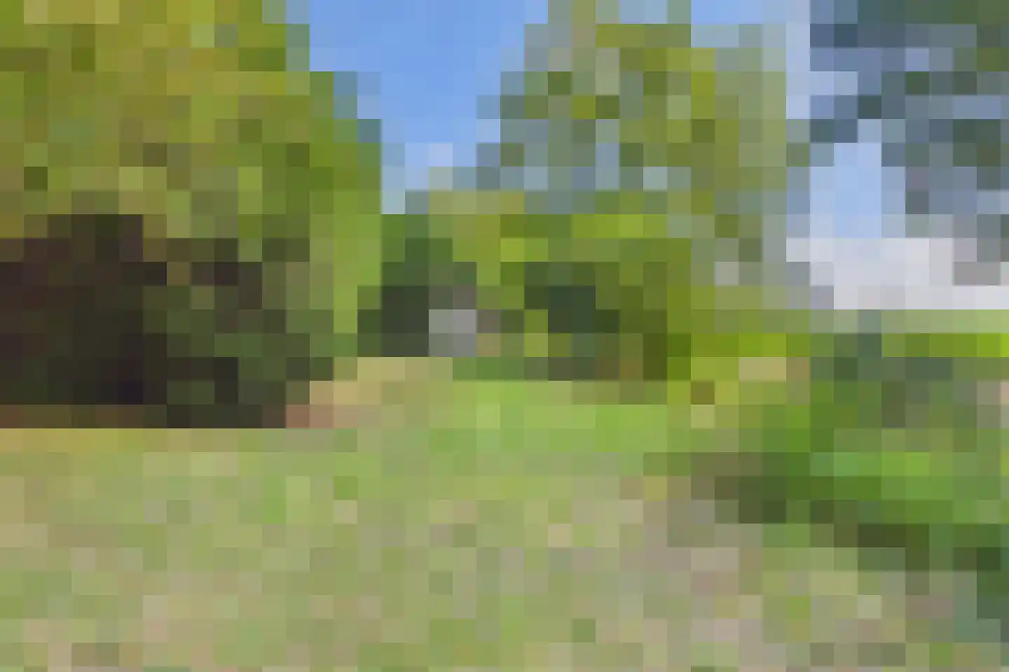 Grootmoedersdijk 1 Kuitaart thumbnail 32