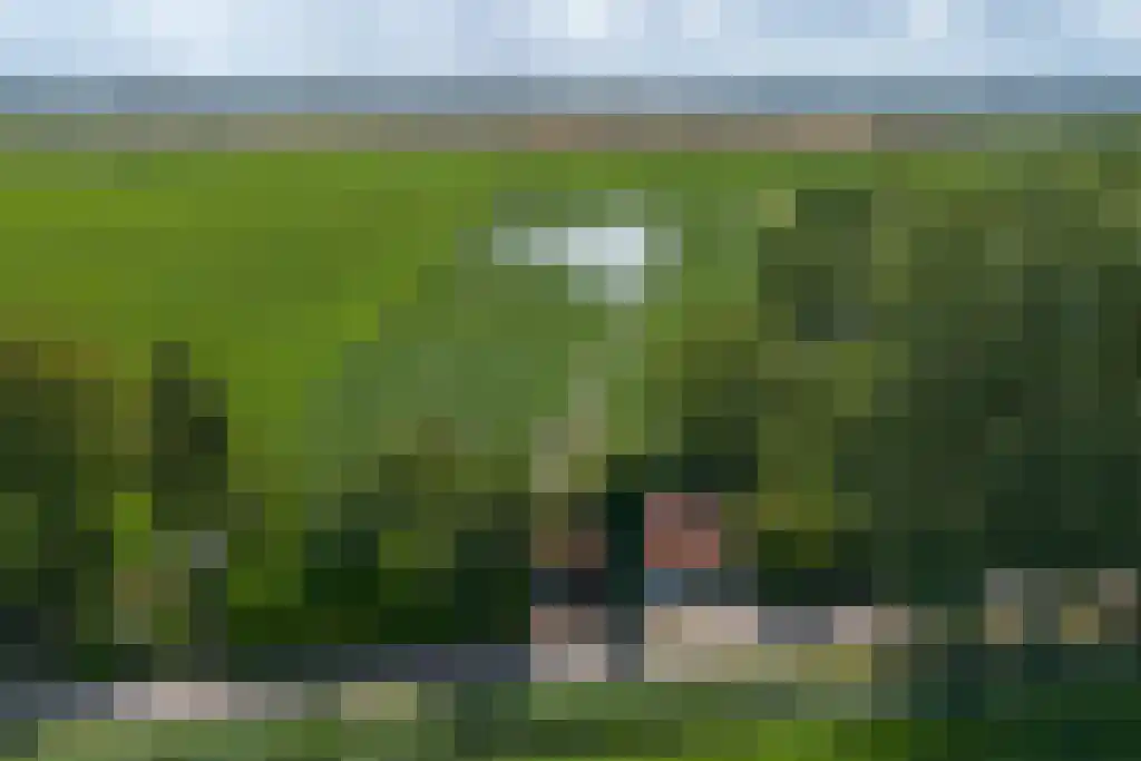 Grootmoedersdijk 1 Kuitaart thumbnail 34